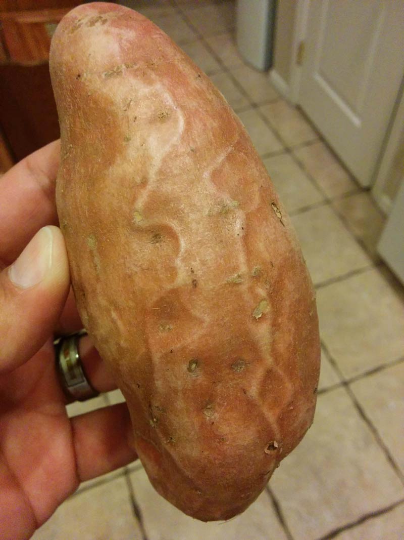 Check out my throbbing potato