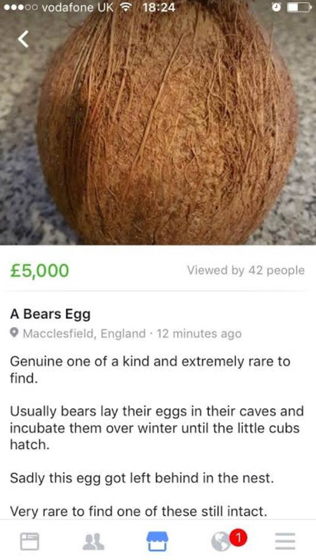 Bear egg for sale