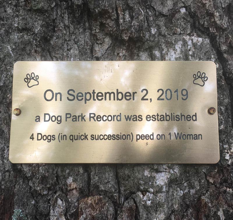 Dog Park Record