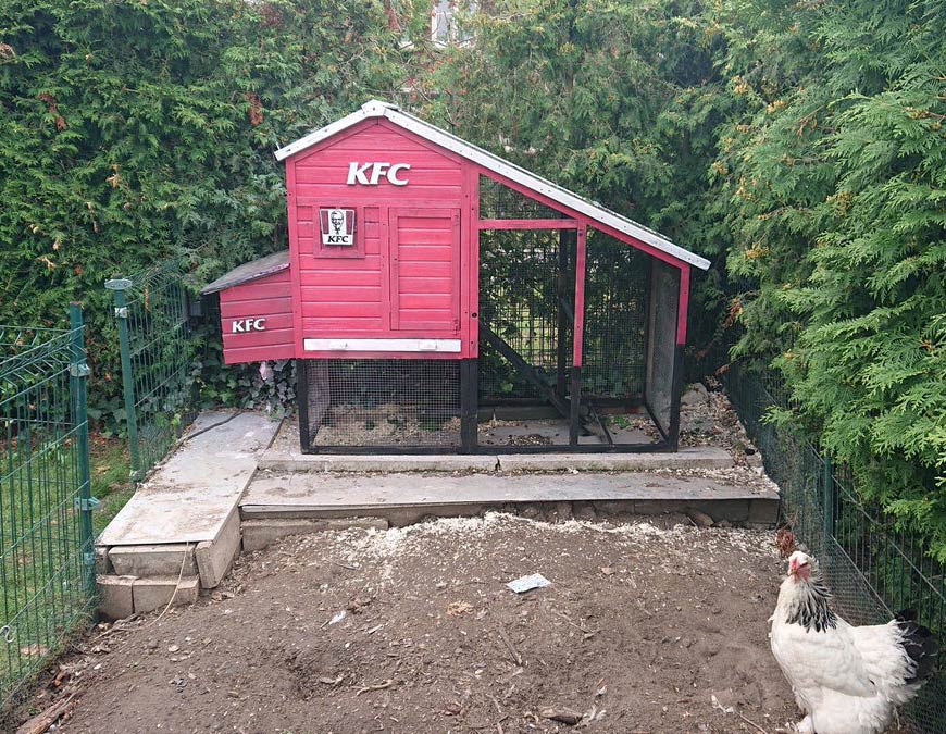 New chicken coop