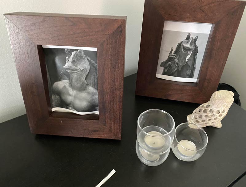 Replaced my friends family photos while I was feeding his cats during his vacation