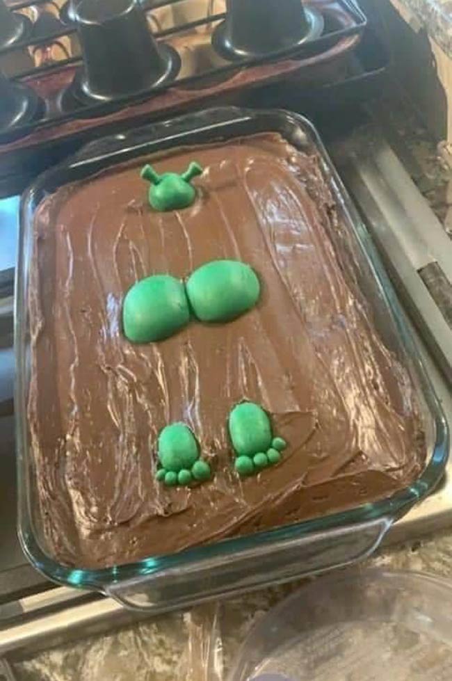 Not exactly how I envisioned my Shrek themed birthday cake..