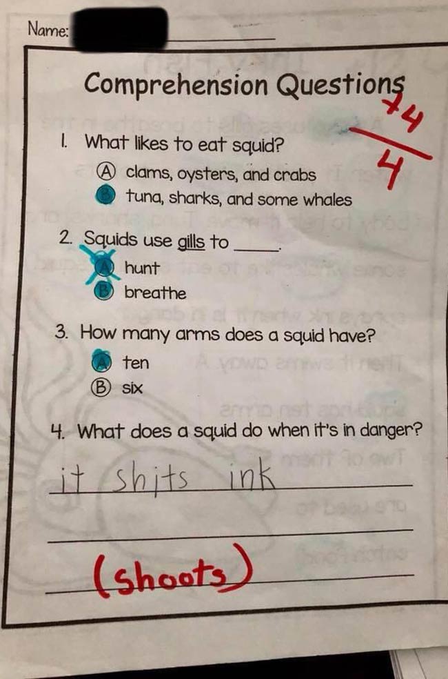 My 2nd grader not mincing words on his quiz earlier this year!