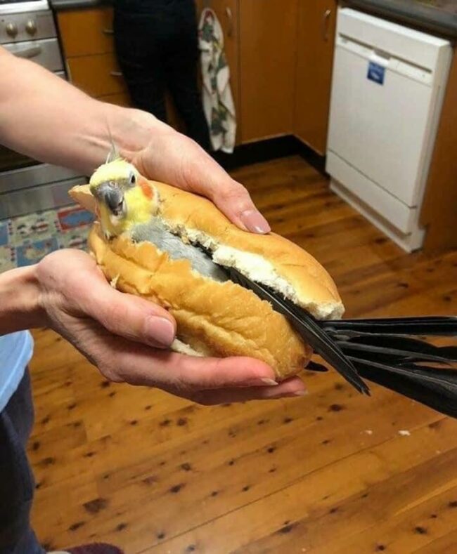 The forbidden sandwich