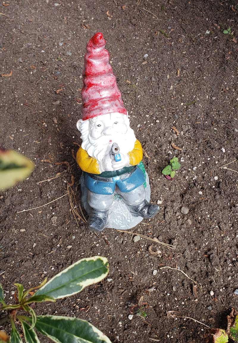 Our garden gnome lost his fishing pole and now he just looks like he's packin' heat