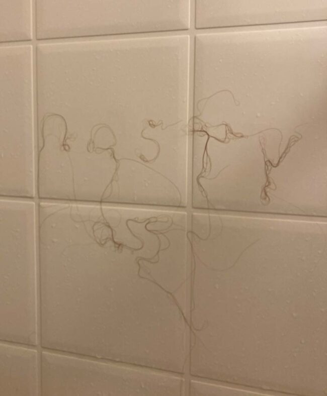 My wife leaves her hair on the shower wall so I decided to leave her a message the next time she takes one