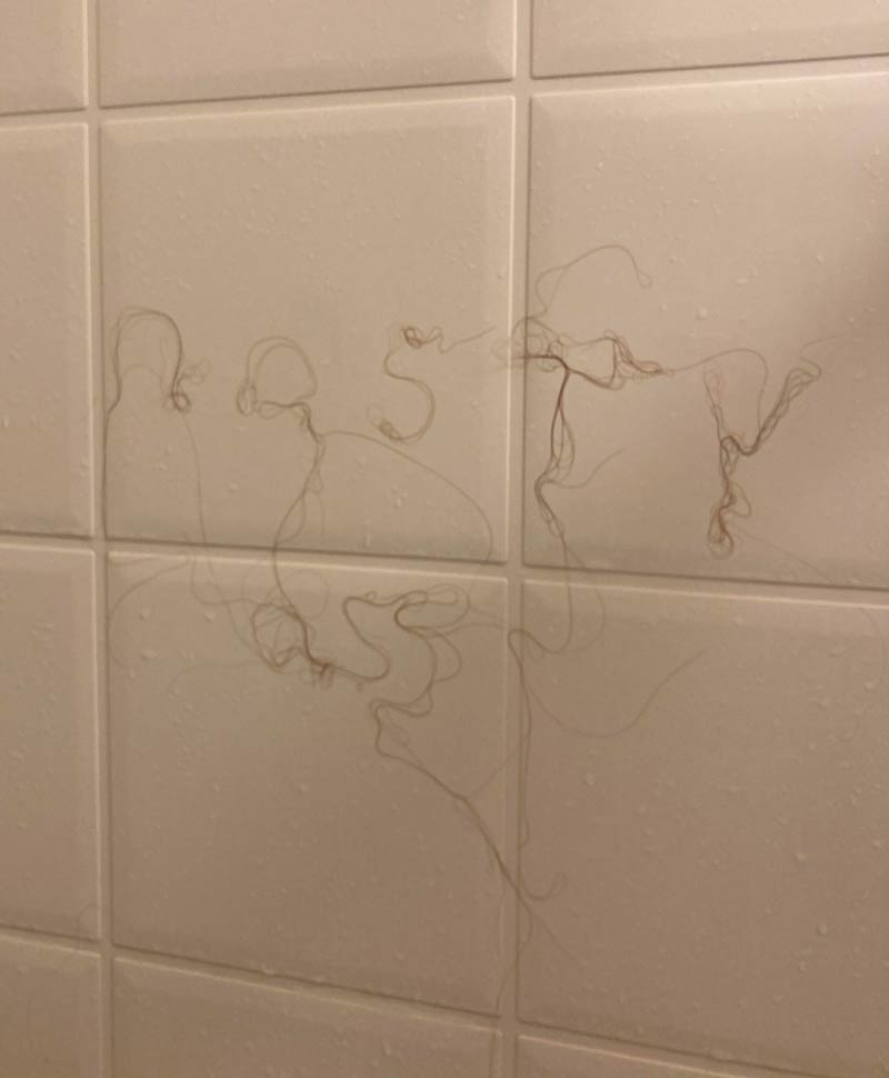 My wife leaves her hair on the shower wall so I decided to leave her a message the next time she takes one