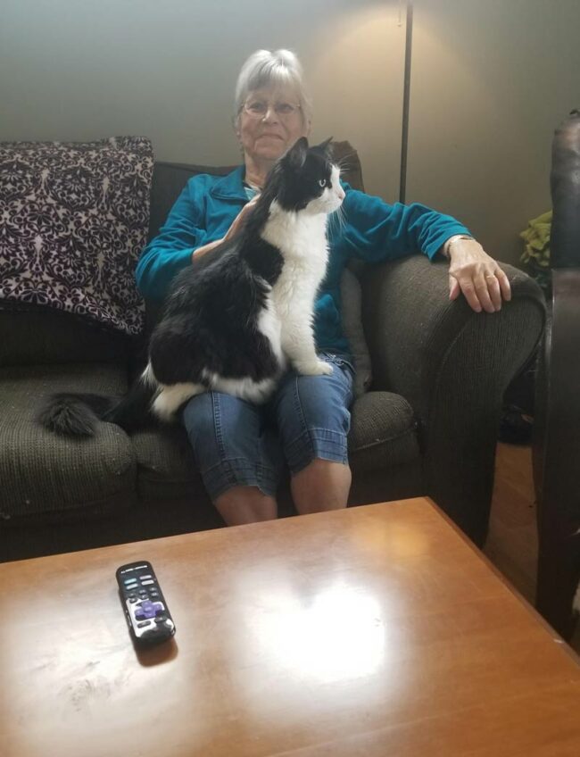 My cat met my grandma for the first time. This was within 10 seconds of her sitting down