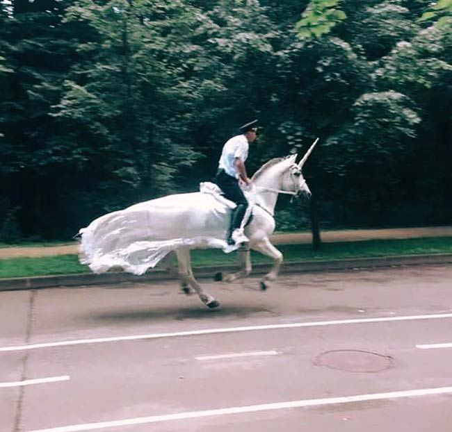 An officer in Poland riding a unicorn