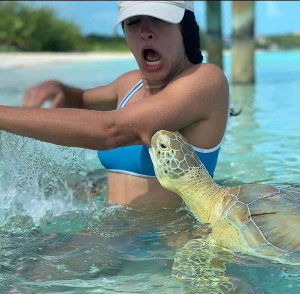 Hand feed the turtles they said. It'll be fun they said