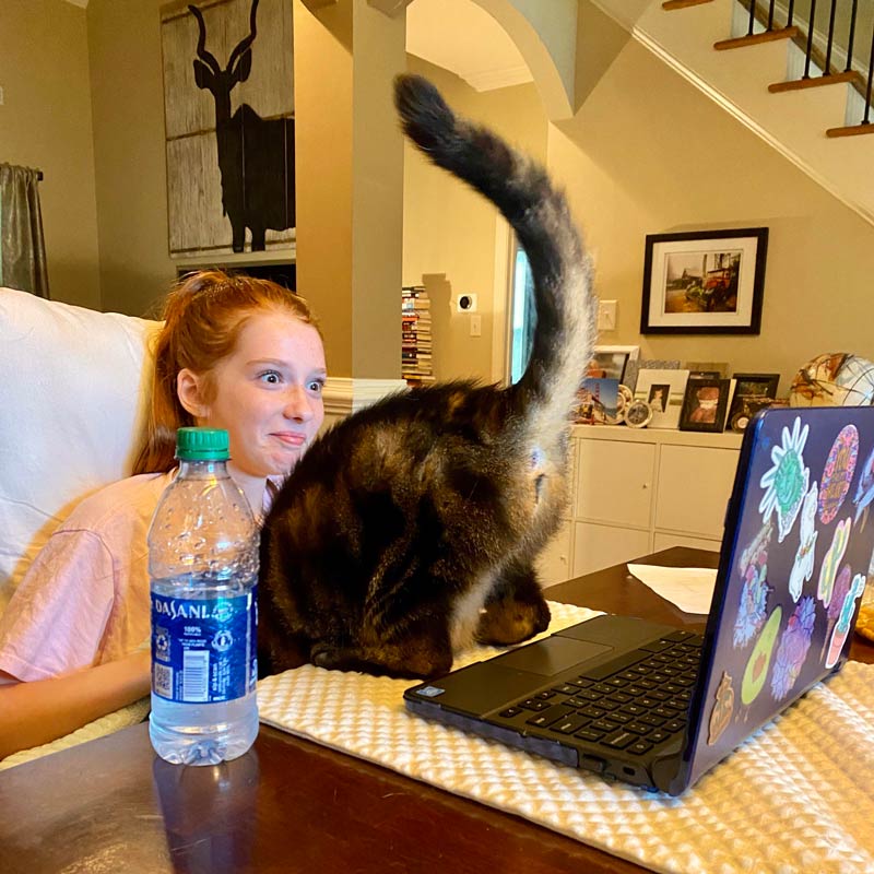 The cat loves to show her @ during the daughter’s virtual clASSes
