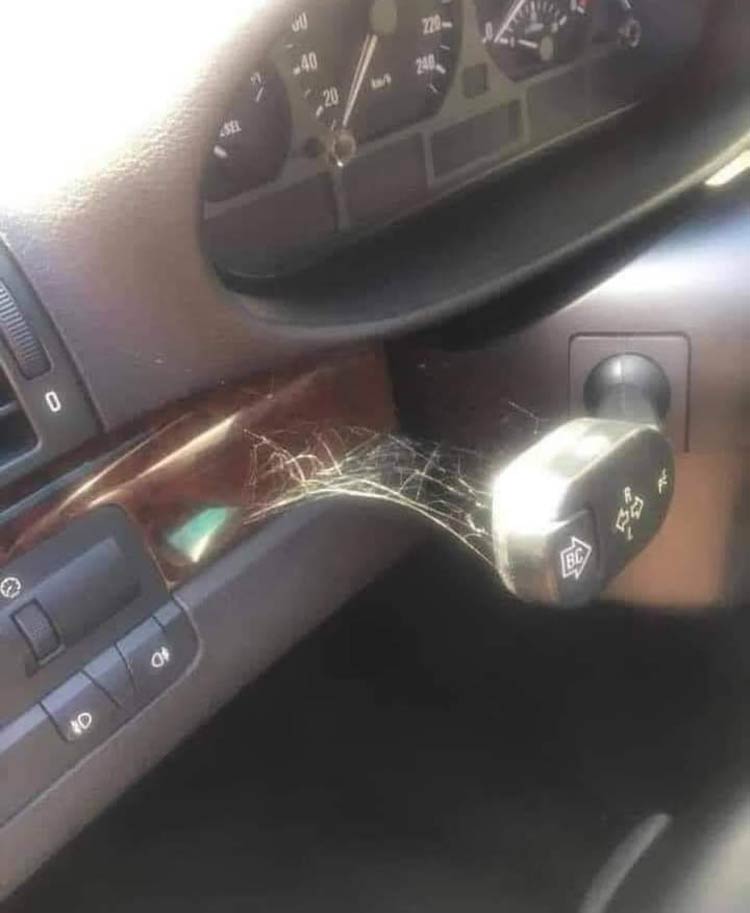Cobwebs on a BMW turn signal stalk