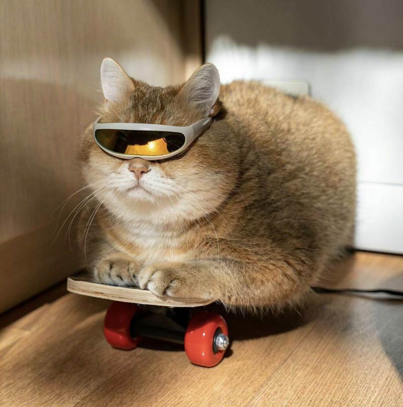 They see me rollin'