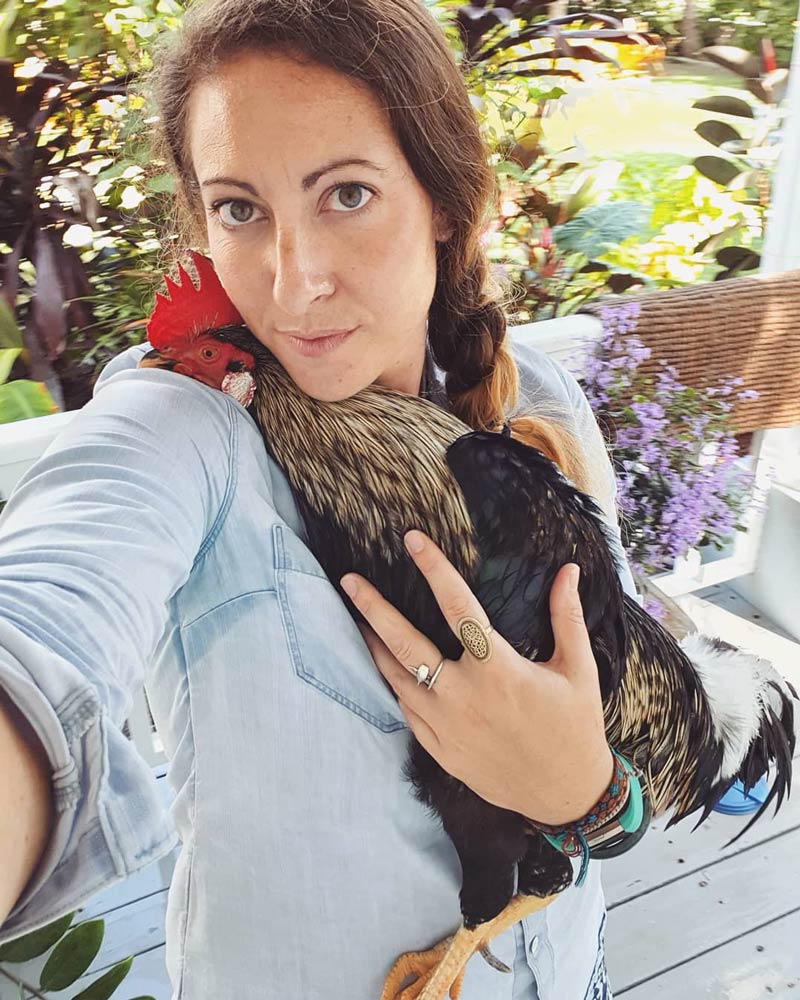 George the cuddle rooster