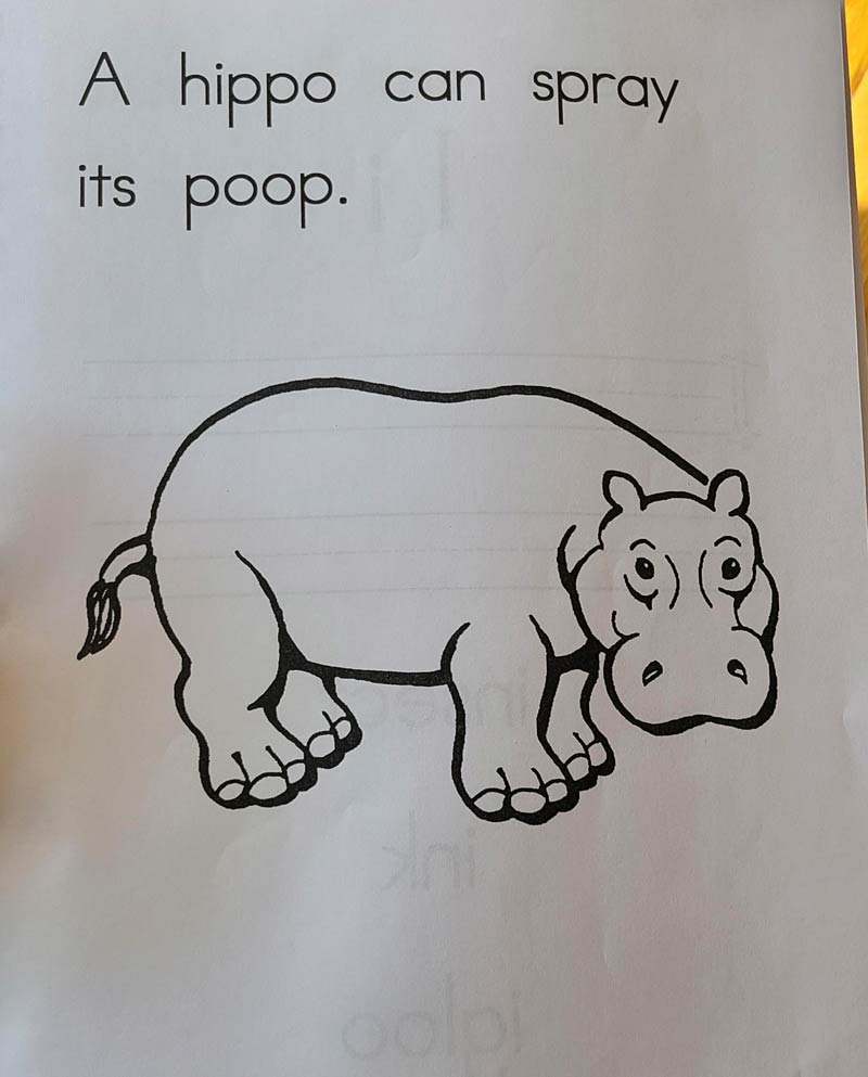 My kid's kindergarten homework