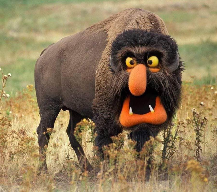 Muppet bison