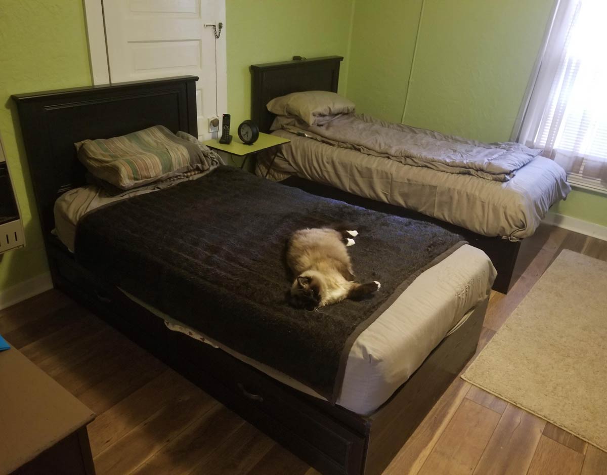 My grandmother bought a whole extra bed just for her cat