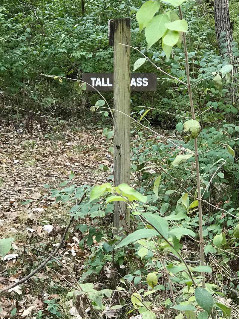 These trail names are getting out of hand