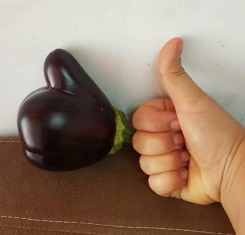 Best eggplant ever