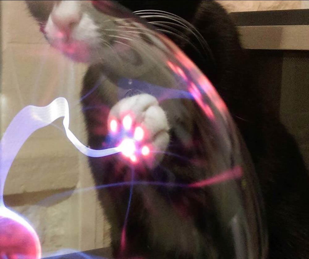 Cat Paw Plasma Ball