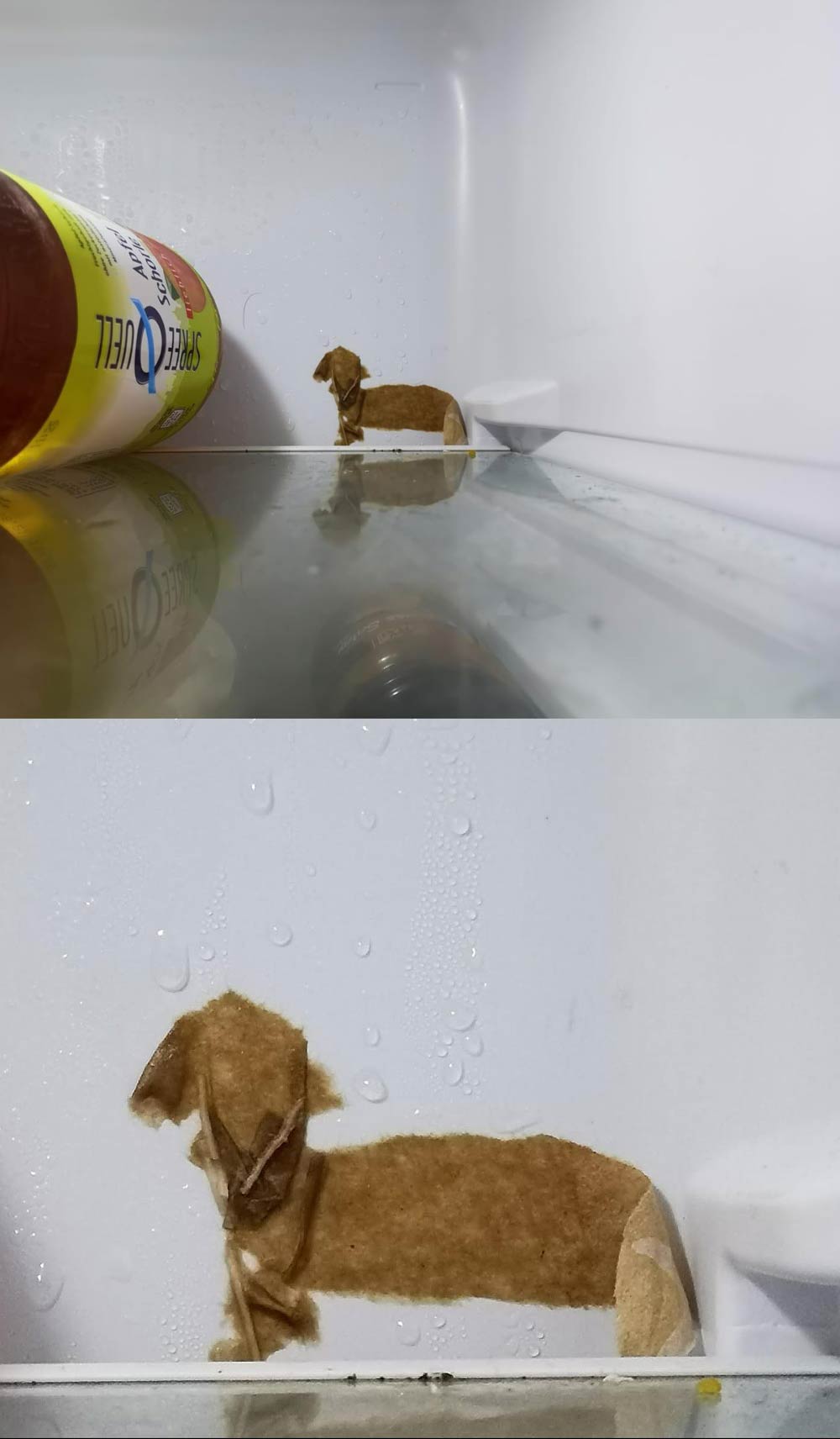The piece of paper that is frozen to the back of my fridge looks like a wiener dog