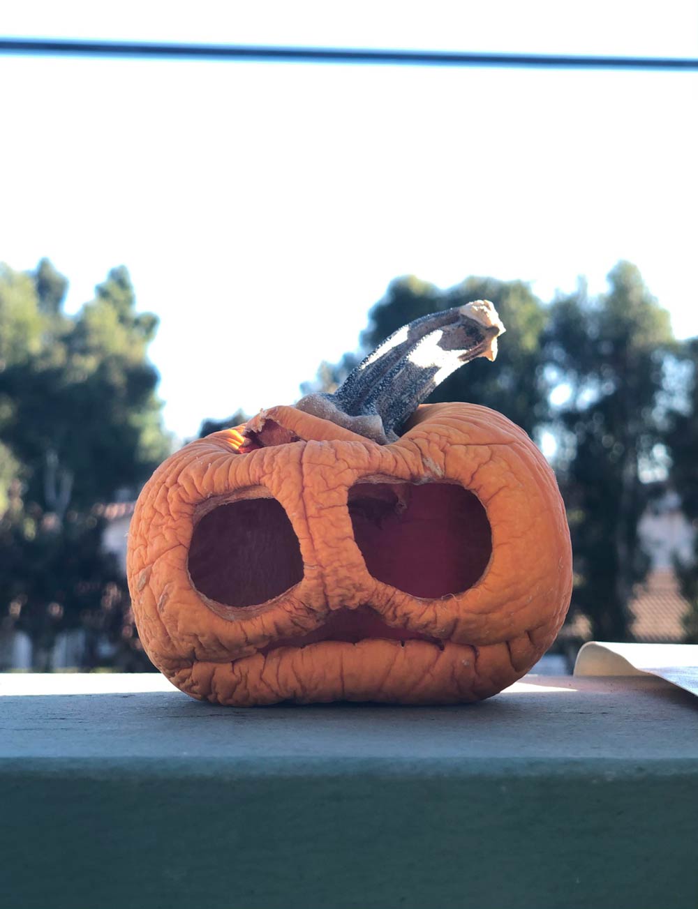 Too hot in SoCal for my pumpkin