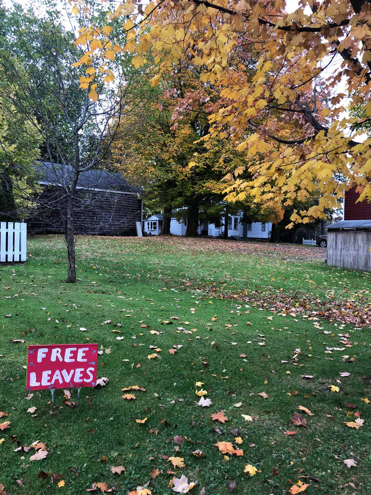 I’d rather not rake anymore. Come and get ‘em!