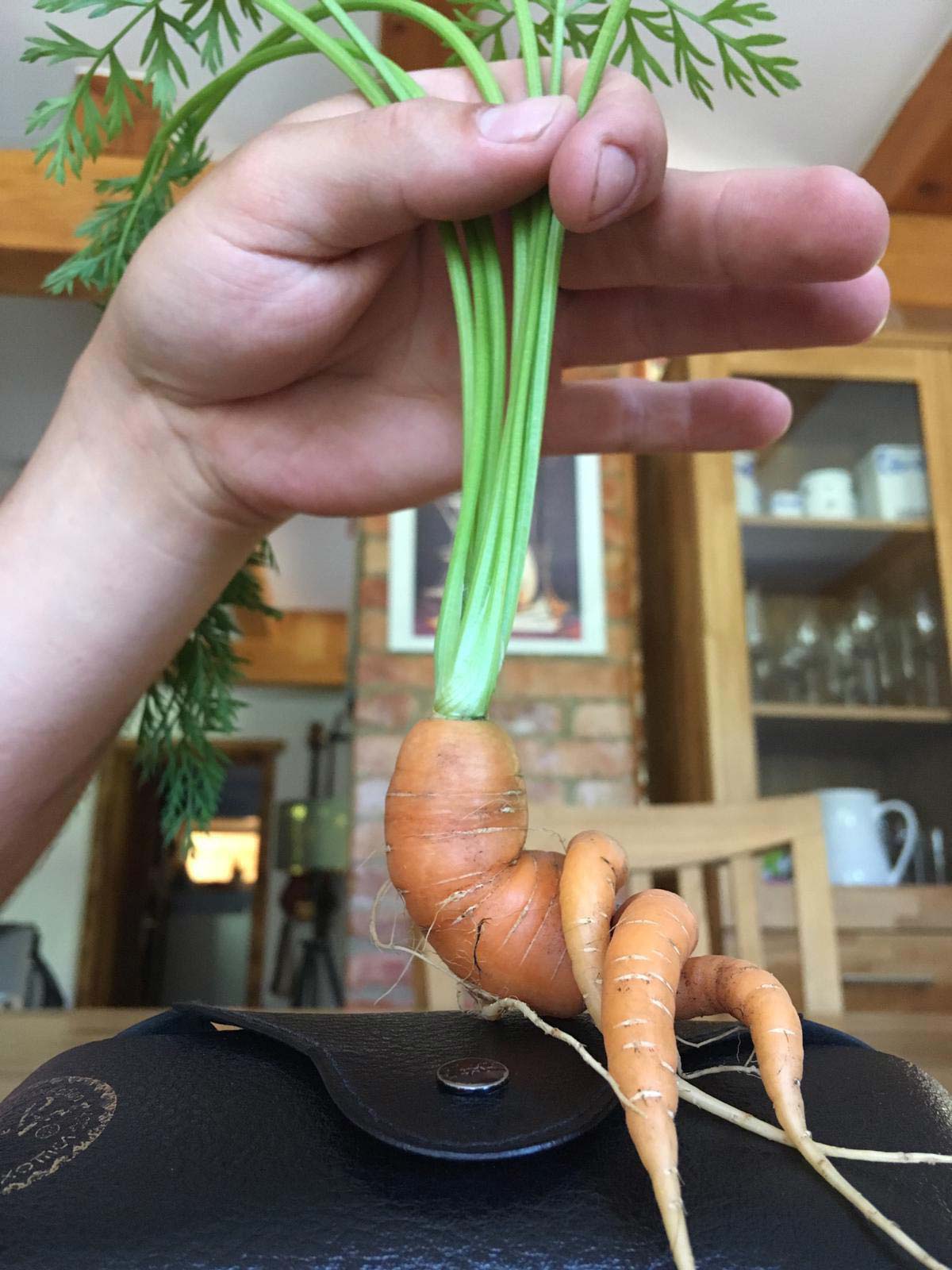 Draw me like one of your french carrots