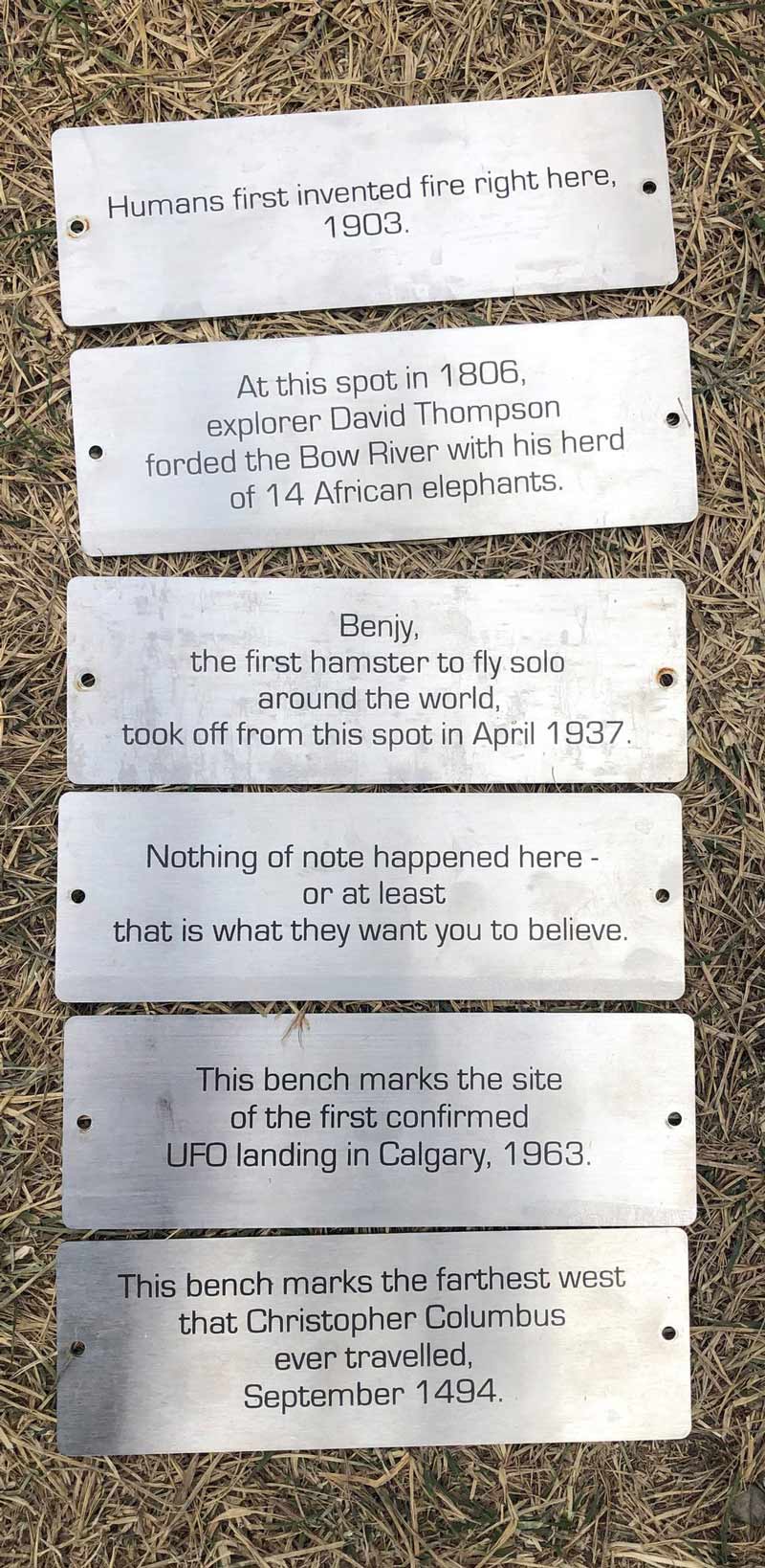 Someone installed these plaques on a bunch of benches, they got taken down by the city today but I think they're priceless
