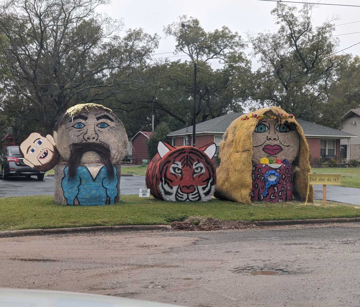 Our town had a hay bale decoration contest for Halloween. This is one of them