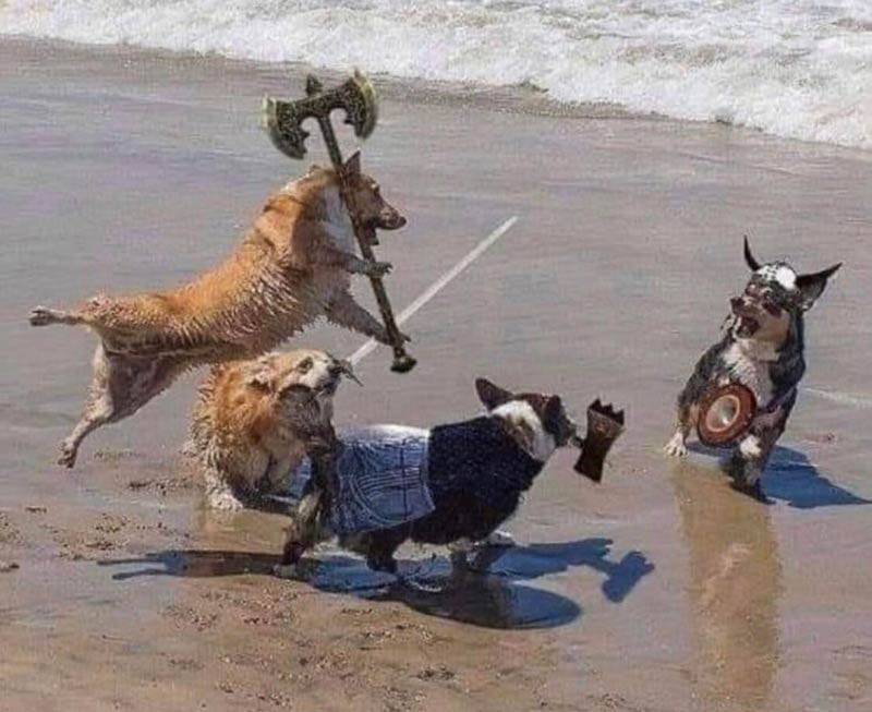 Can adding medieval weapons to dogs be a thing?