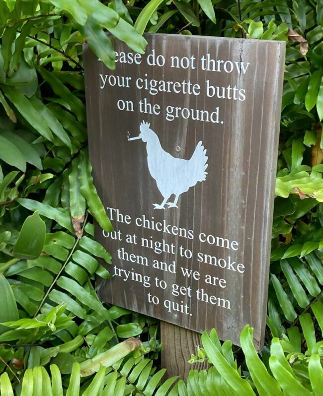 Smoking chickens Odd Stuff Magazine