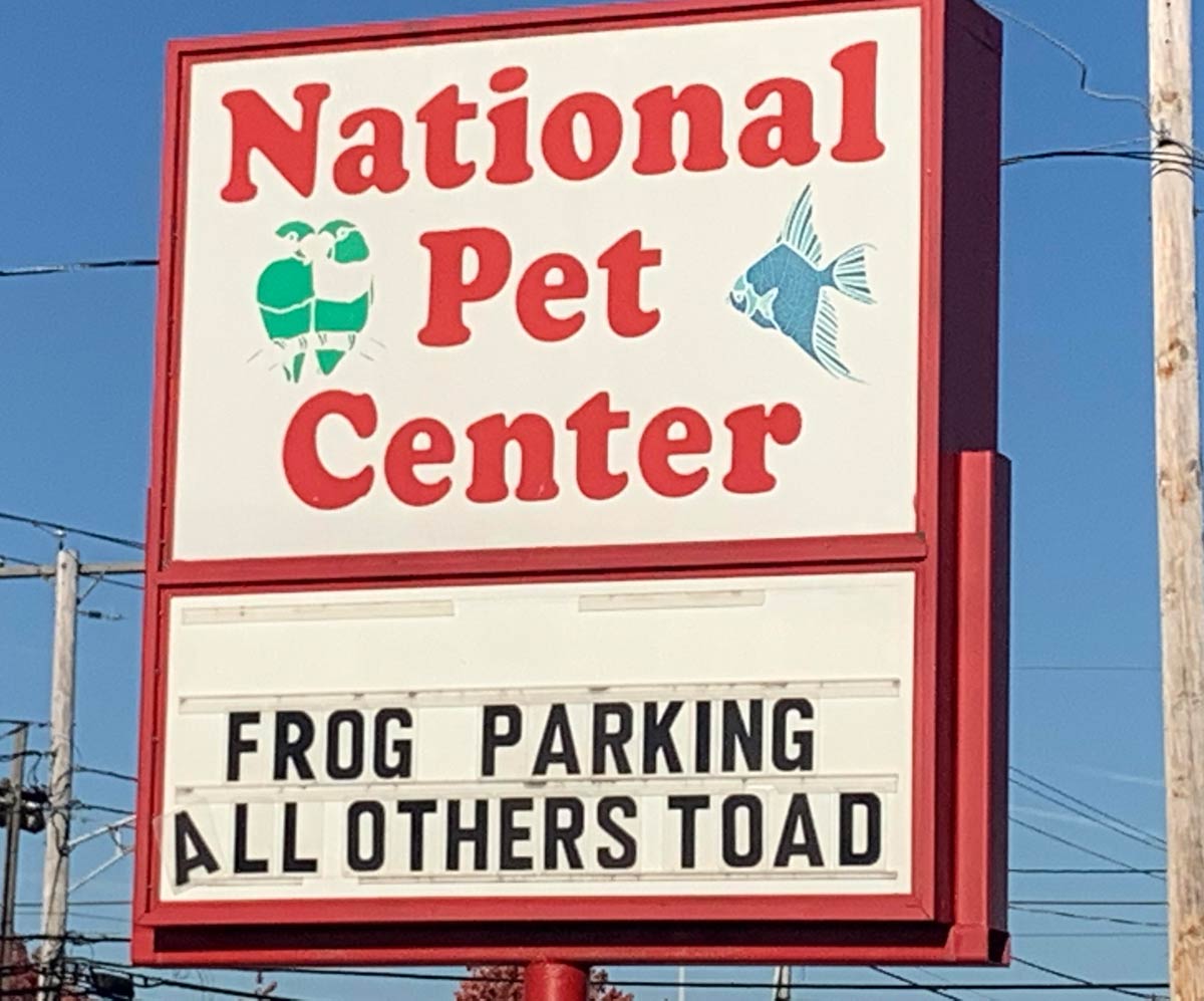 My local pet store