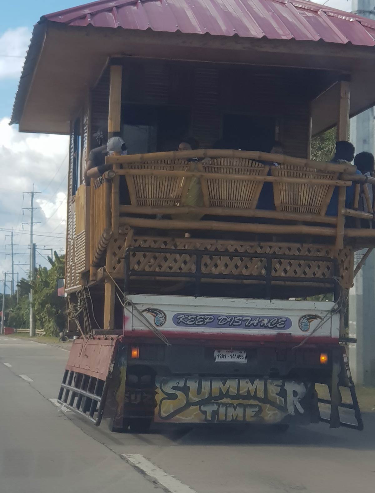 This beast in the Philippines