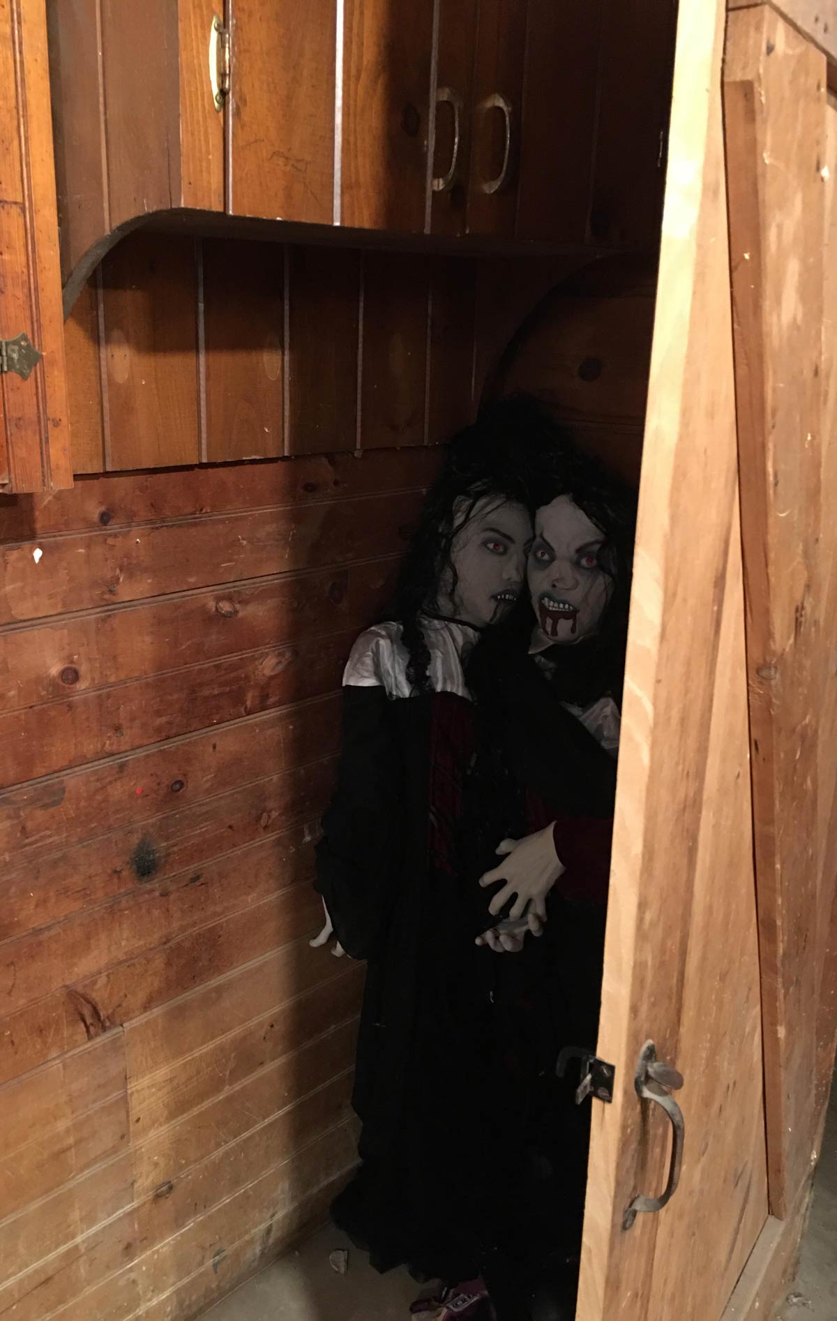 My wife put these Halloween decorations behind a door in our basement, now I need new underwear