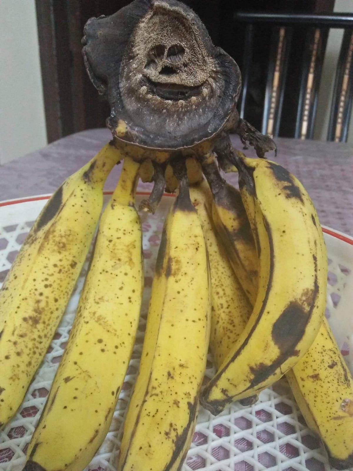 King Kong bananas