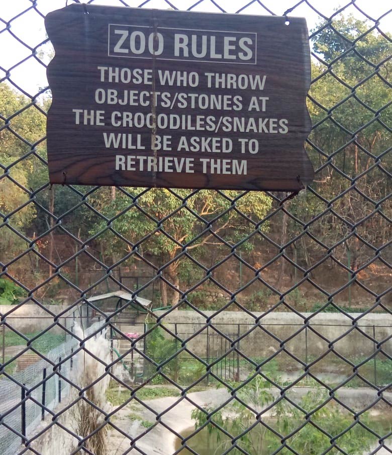 Found this at a zoo in India