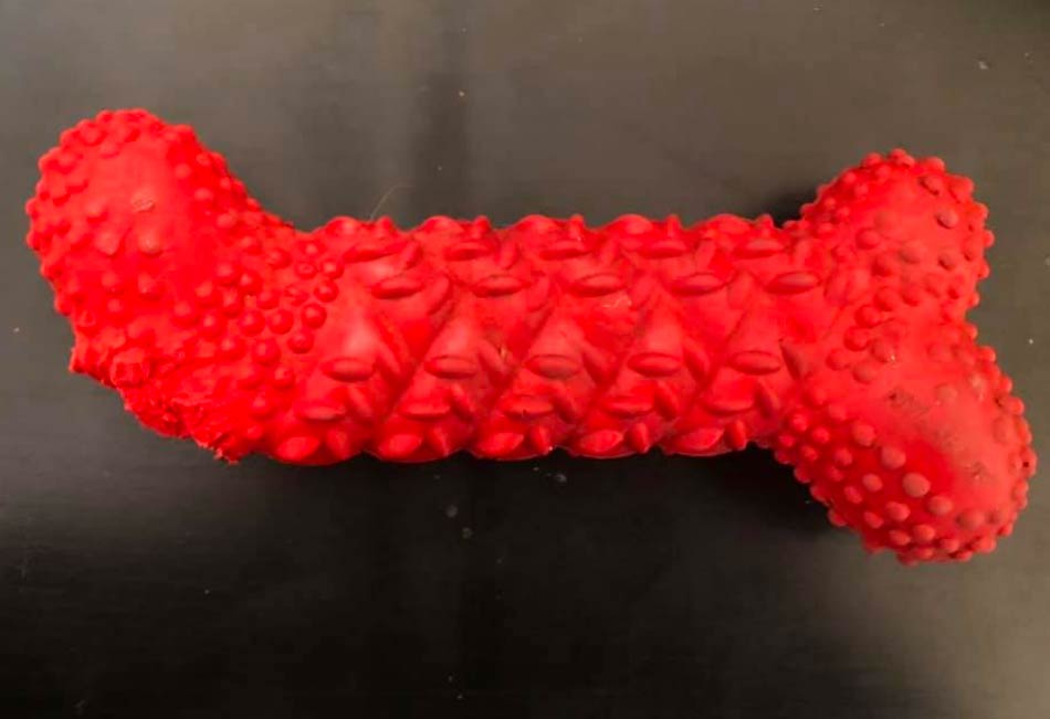 Second grade teacher asked a kid to show an object on camera, that starts with the same first letter as their name. Parents received a call from school about other parents getting offended.. It's a chewed off dog toy