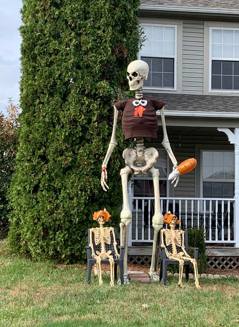 My neighbors getting their money's worth on their giant skeleton