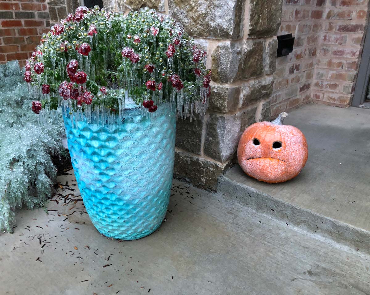 Had an ice storm a few days ago. My pumpkin didn’t seem very happy about it