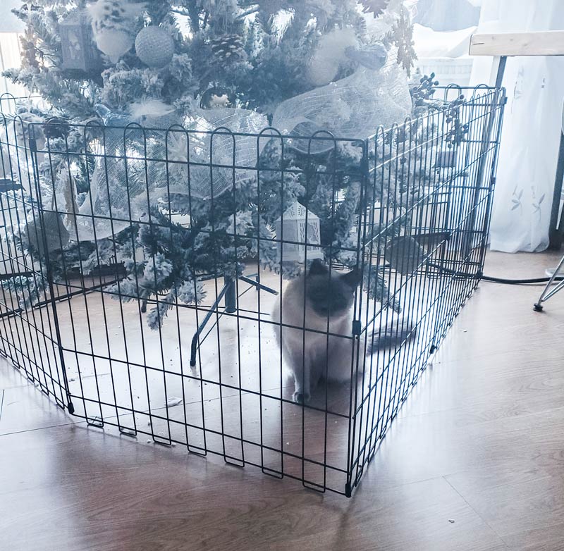 Bought a pet gate to keep my cat away from the Christmas tree