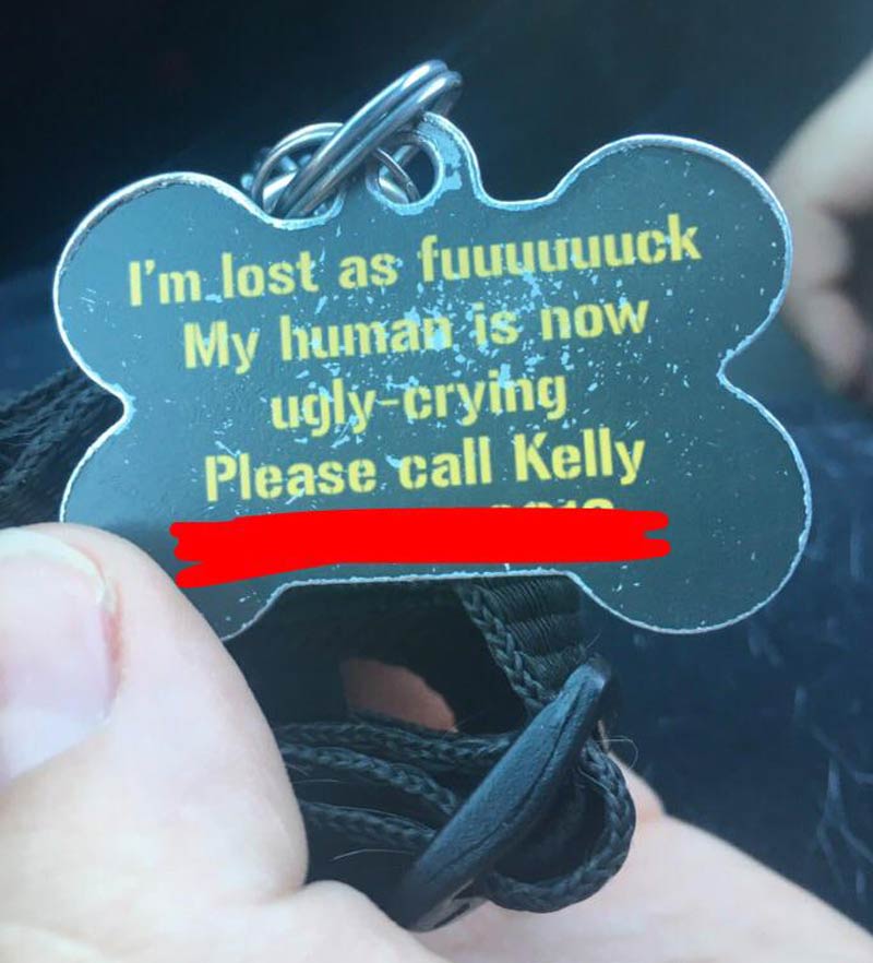 The collar my mom has for her dog
