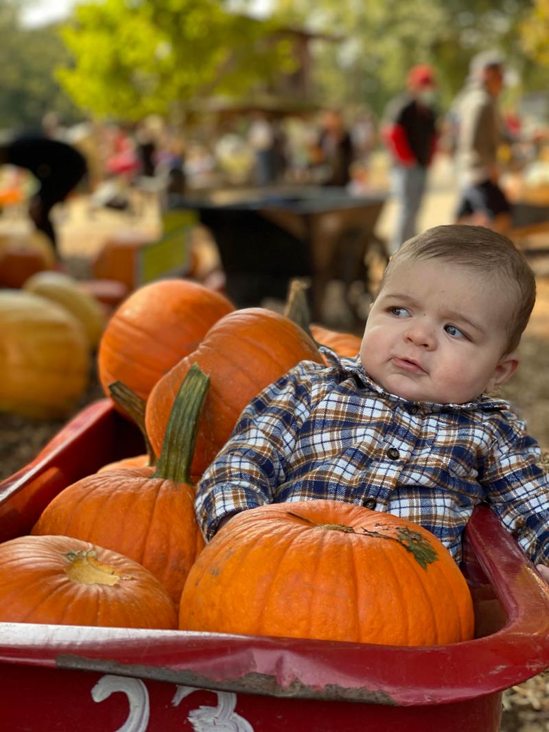 My son didn’t smile once while at the pumpkin patch for the first time.. He was very skeptical