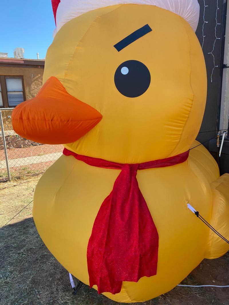 Added some black tape eyebrows to our Christmas duck