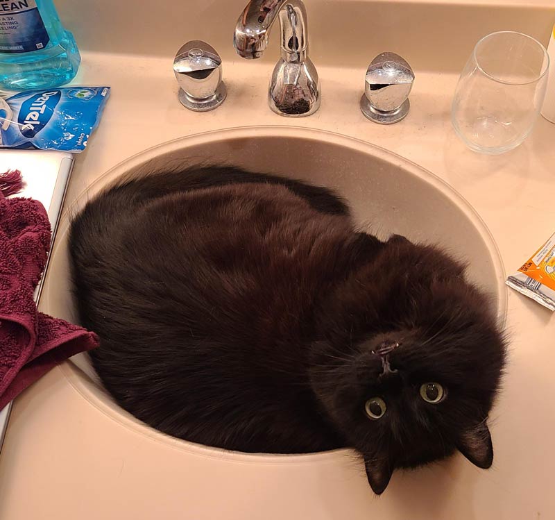 Sink is clogged with hair again!