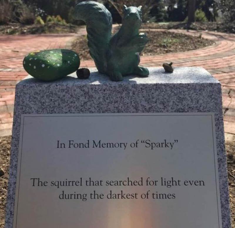 University students made a monument in memory of a squirrel, who canceled a two days of classes by gnawing the front lines