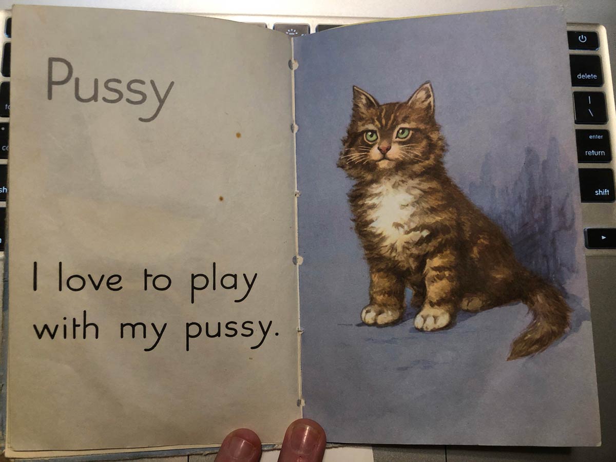 I found one of my old baby books today