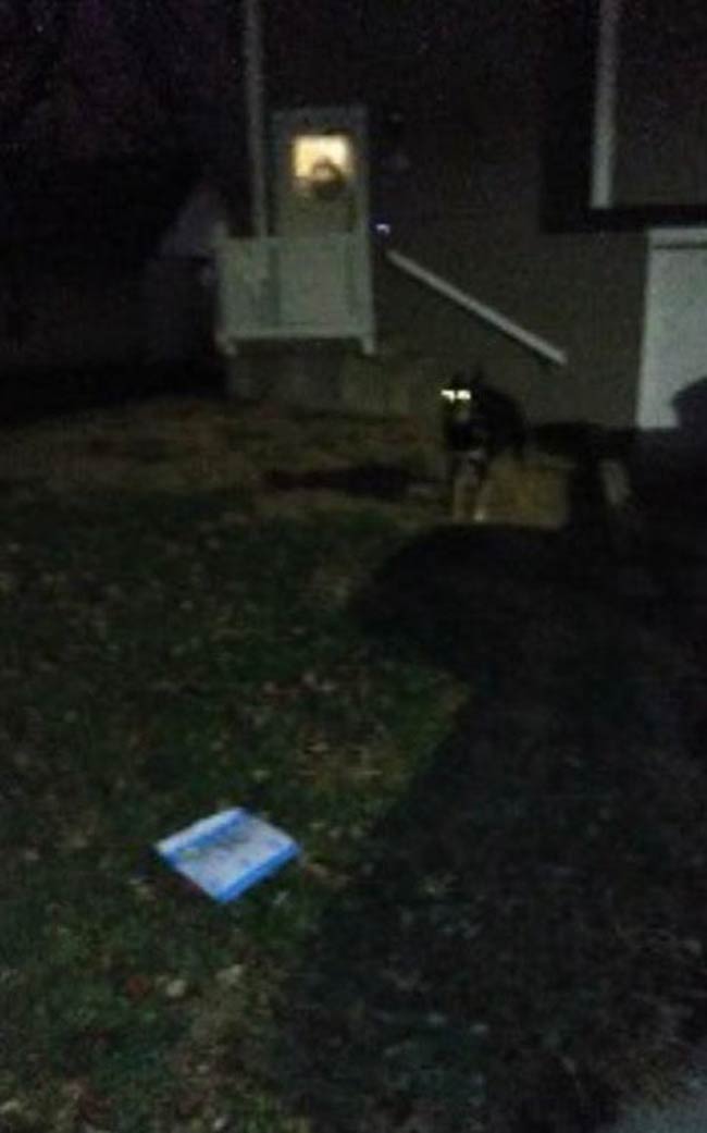 Amazon delivered a package last night and this is the photo the driver uploaded