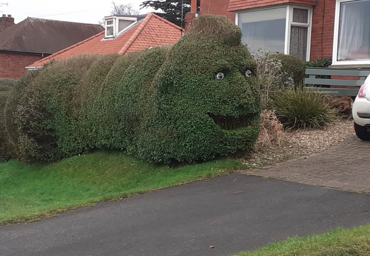 Went for a walk and saw this terrifying hedge