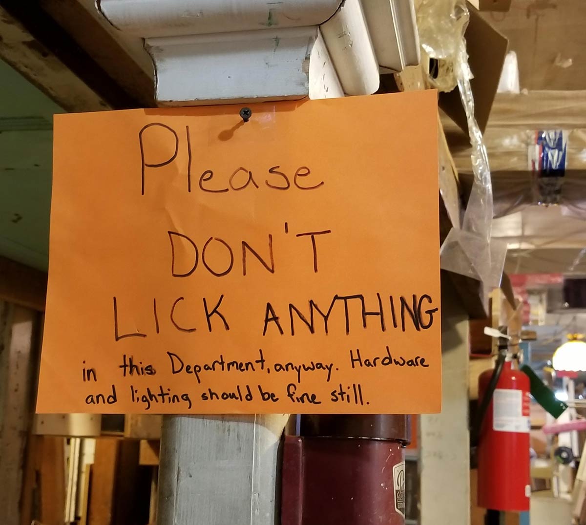 Please Don't Lick Anything